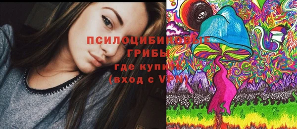 дмт Алзамай