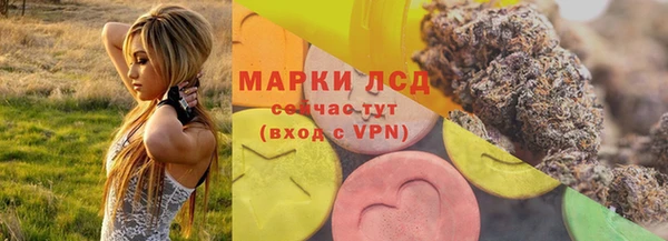 дмт Алзамай