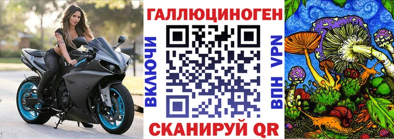 гидра tor  Кирс  Галлюциногенные грибы Psilocybe 